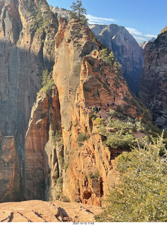 Zion National Park - Scout Landing - Adam