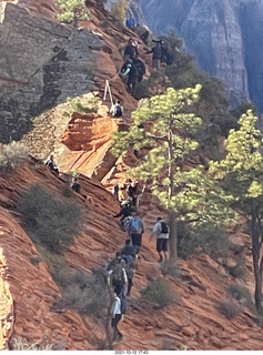 Zion National Park - Scout Landing - Angels Landing hikers