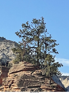 Zion National Park - Scout Landing - Angels Landing hikers