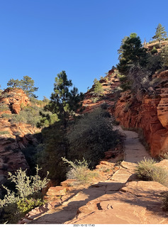 Zion National Park - Scout Landing