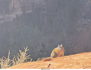 Zion National Park - Scout Landing - Angels Landing hikers