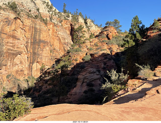 65 a18. Zion National Park - Scout Landing