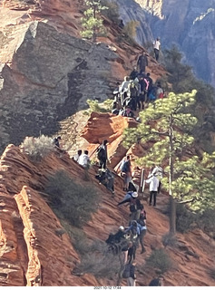 Zion National Park - Scout Landing - Angels Landing hikers