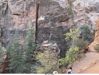 82 a18. Zion National Park - Scout Landing hike