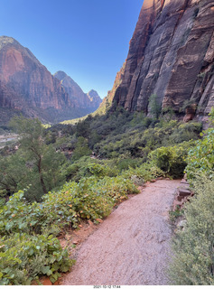 Zion National Park - Scout Landing - tree bench