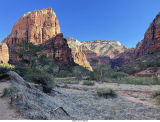 Zion National Park - Scout Landing hike