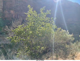 101 a18. Zion National Park - Scout Landing hike