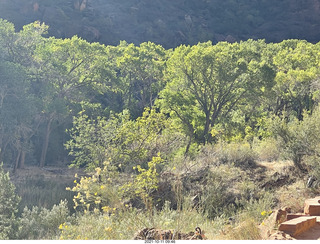 103 a18. Zion National Park - Scout Landing hike