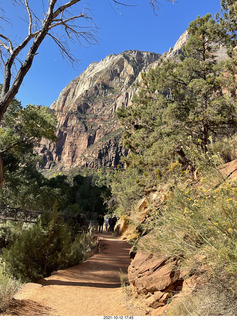 Zion National Park - Scout Landing hike - rocks with nodules