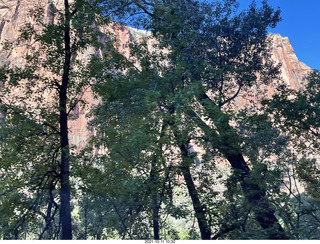 Zion National Park