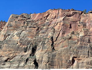 Zion National Park - Scout Landing hike