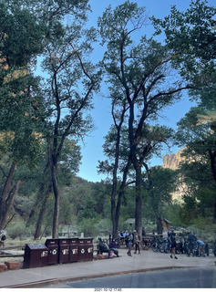 Zion National Park - Scout Landing hike - bridge view