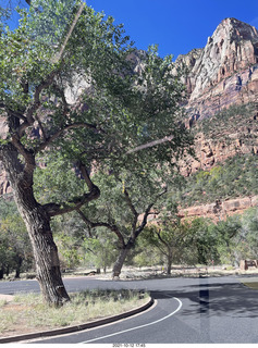 Zion National Park - Scout Landing hike - bridge view