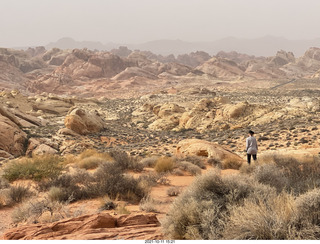 315 a18. Valley of Fire State Park - Nevada - Rainbow Vista