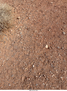 Valley of Fire State Park - Nevada - White Domes