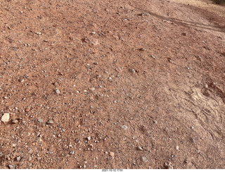 371 a18. Valley of Fire State Park - Nevada - White Domes - ground rocks