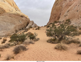 Valley of Fire State Park - Nevada - White Domes