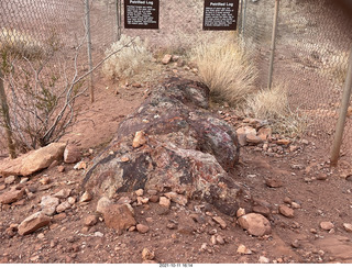 460 a18. Valley of Fire State Park - Nevada - petrified log