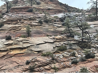 57 a18. Zion National Park in the snow