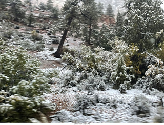 Zion National Park in the rain - small tunnel