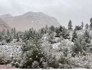 Zion National Park in the snow