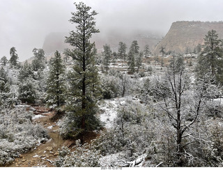 Zion National Park in the snow