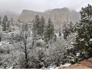 Zion National Park in the snow