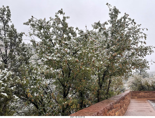 72 a18. Zion National Park in the snow