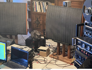 cat Jane in my hifi room