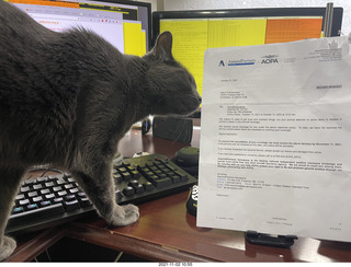 aopa insurance form with my cat