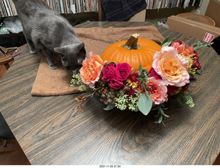 pumpkin flower arrangement + my cat Devin