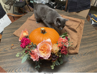 pumpkin flower arrangement