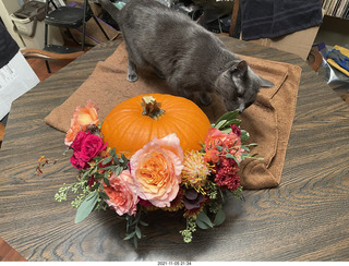 pumpkin flower arrangement