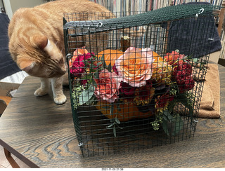 1055 a19. pumpkin flower arrangement in a cage with my cat Max
