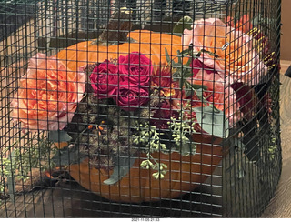 pumpkin flower arrangement in a cage