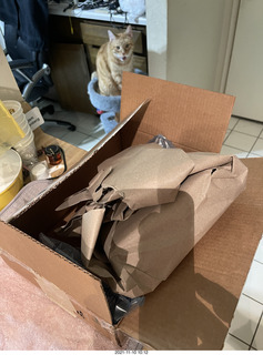 tapes from Oleg in Russia + my cat Devin