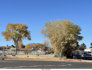 5 a19. Page Airport - colored trees