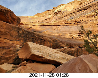 112 a19. Canyonlands National Park - Lathrop Hike (Shea picture)