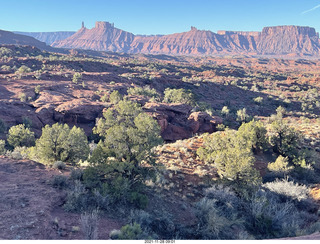 driving from moab to fisher towers - Route 128 - cows