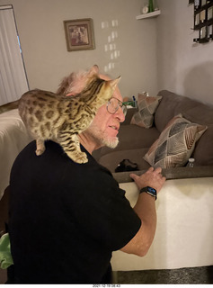 66 a1a. Bengal kitten Pickle on Adam's shoulders