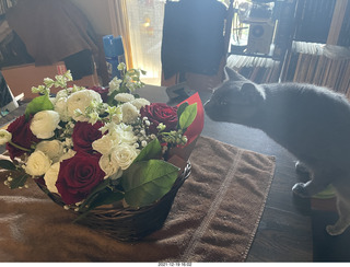 Olga and Anthony gave me a lovely floral bouquet for my birthday + my cat Devin