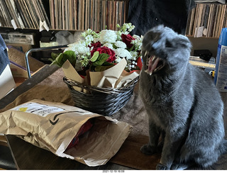 Olga and Anthony gave me a lovely floral bouquet for my birthday + my cat Devin yawning + Jim Gerdy's birthday present