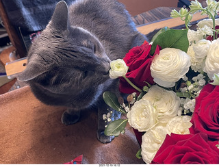 my cat Devin and my birthday flower bouquet