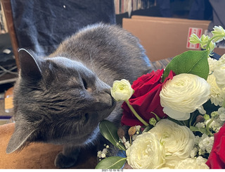 my cat Devin and my birthday flower bouquet