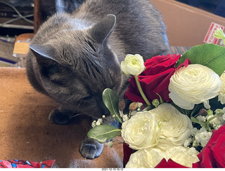 Olga and Anthony gave me a lovely floral bouquet for my birthday