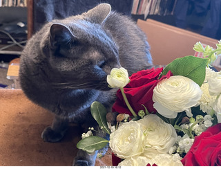 my cat Devin and my birthday flower bouquet