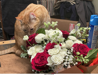 1075 a1a. my birthday bouquet - my cat Max