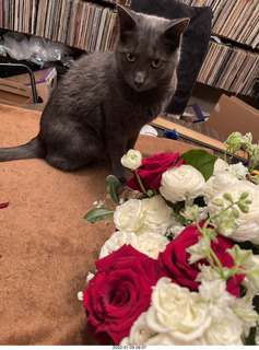 my cat Devin and my birthday flower bouquet