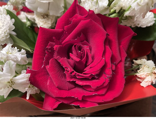 678 a1a. my birthday flowers