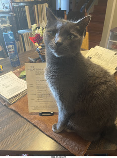 my cat Devin and my birthday flower bouquet